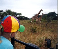 on safari