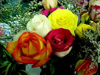 flowers
