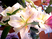 Flowers for Mothers Day.