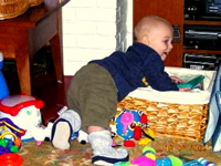 hunting for toys