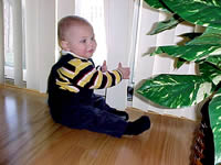 blinds