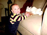 beanie baby