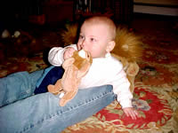 Lions taste so good