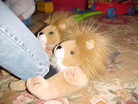 Lions everywhere