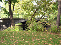 bridge