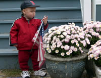 flags and flowers