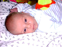 25 March 2003